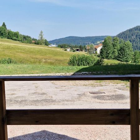 Chalet Du Poli Βίλα Xonrupt-Longemer Εξωτερικό φωτογραφία
